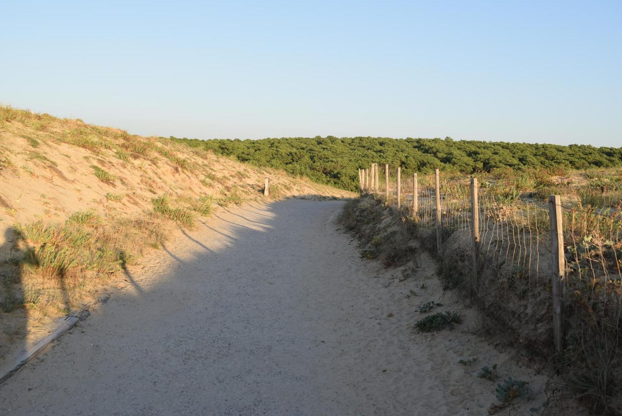 Evasion Cotiere Tranquillite Entre Foret Et Ocean Vielle-Saint-Girons Dış mekan fotoğraf