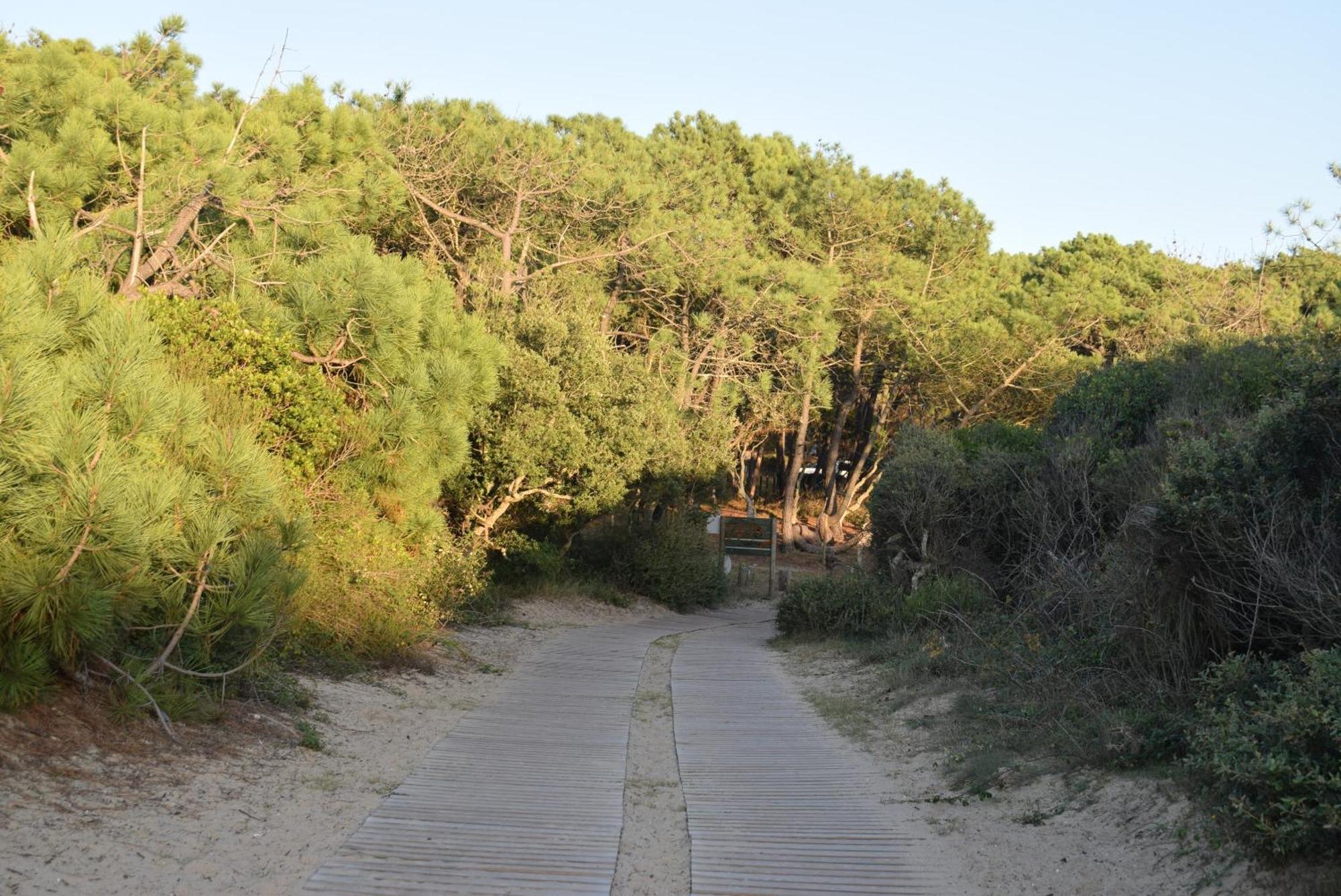 Evasion Cotiere Tranquillite Entre Foret Et Ocean Vielle-Saint-Girons Dış mekan fotoğraf