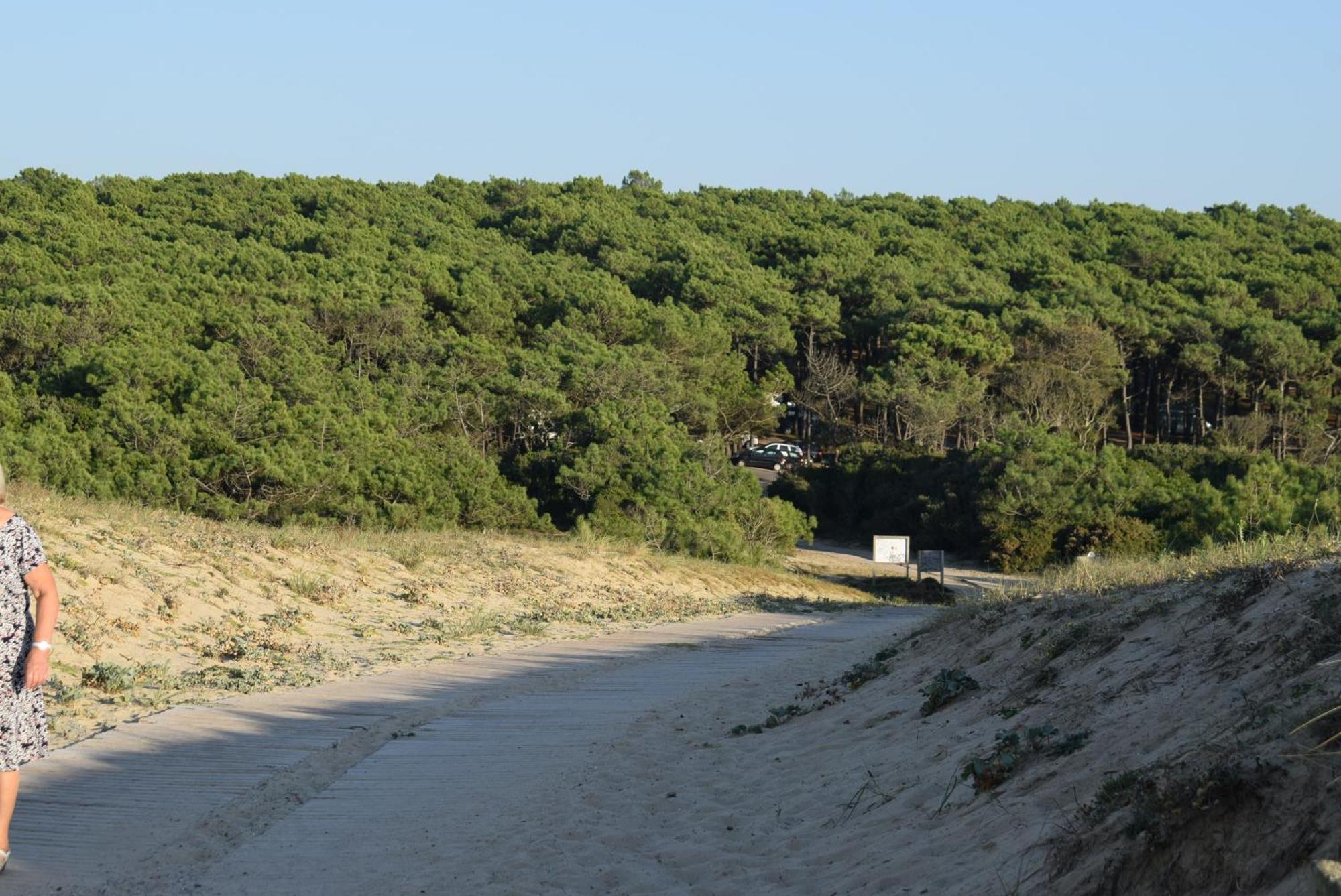 Evasion Cotiere Tranquillite Entre Foret Et Ocean Vielle-Saint-Girons Dış mekan fotoğraf